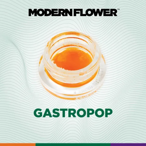 Gastro Pop Live Terpene Sauz