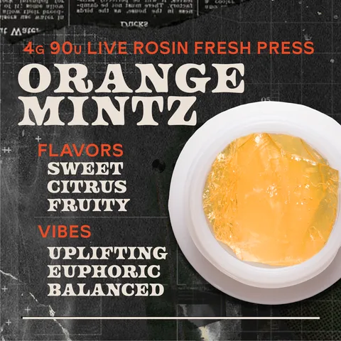 Orange Mintz Fresh Press Live Rosin Concentrate