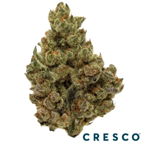 Banana OG x Trophy Wife Premium Flower