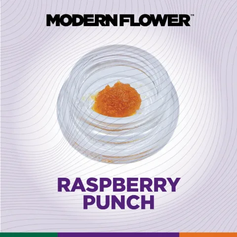 Raspberry Punch Live Resin