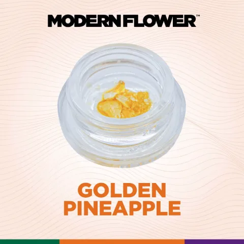 Golden Pnpple Live Diamonds