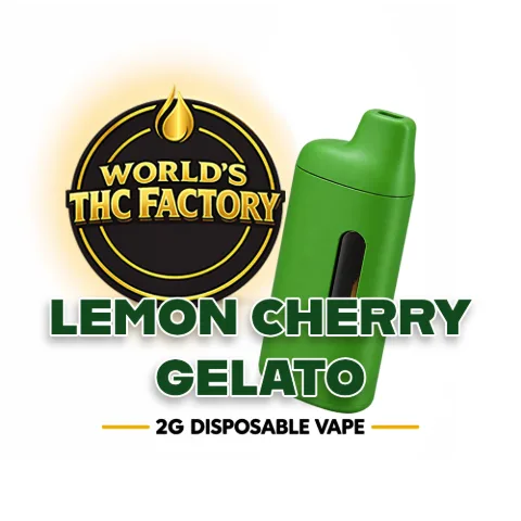 World THC Factory - AIO Distillate - Lemon Cherry Gelato