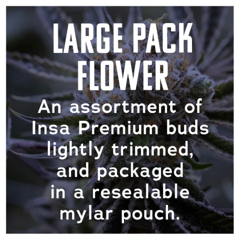 Large Pack Flower - CREAM, as Insa's menu shows it