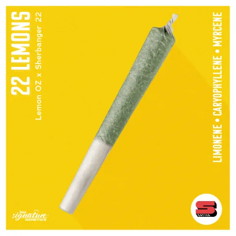 Pre-Roll - 22 Lemons, as Insa's menu shows it