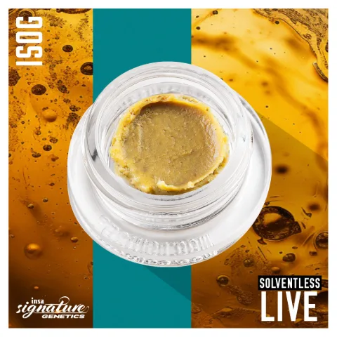 Live Rosin - Insa OG