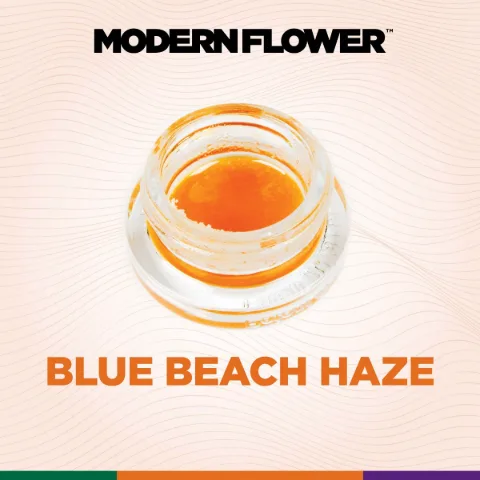 Blue Beach Haze Live Terpene Sauz