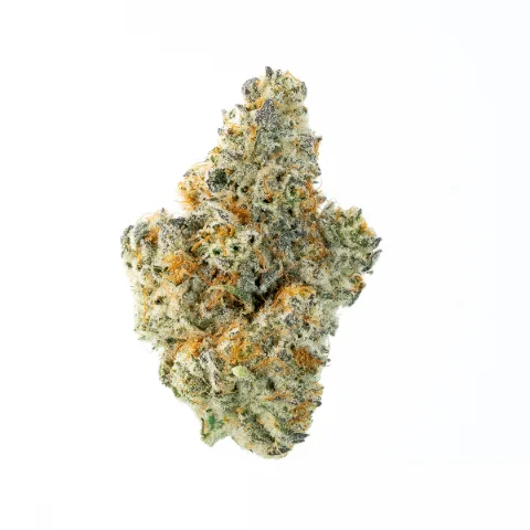 Znow Flakes - Whole Flower