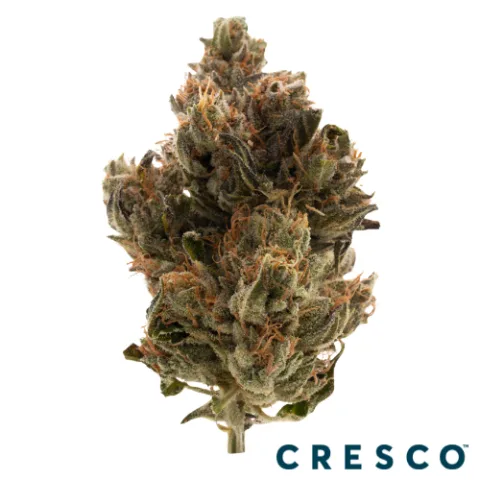 Double OG Chem Premium Flower