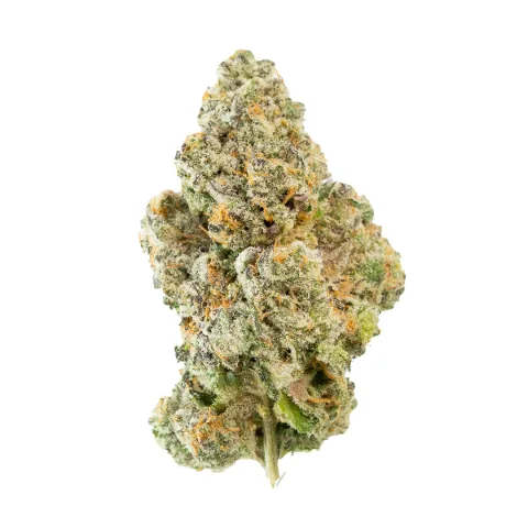 Grapefruit Z - Whole Flower