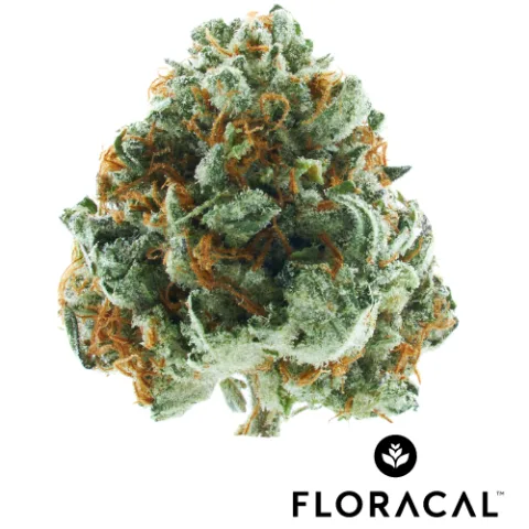 Animal Style Craft Cannabis Flower