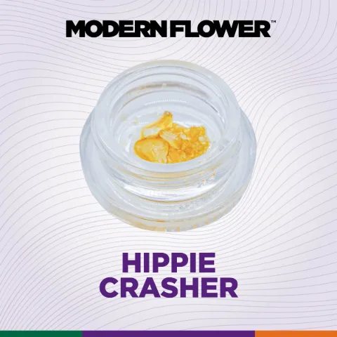 Hippie Crasher Live Diamonds