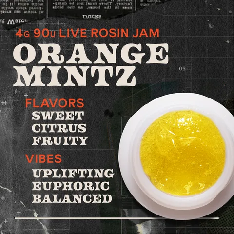 Orange Mintz Jam Live Rosin Concentrate