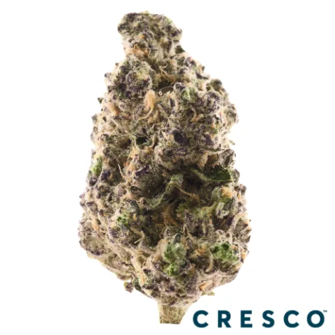 Apple Fritter x Chernobyl Premium Flower