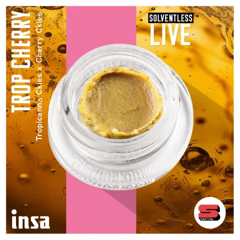 Live Rosin Cold Cure - Trop Cherry