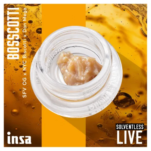 Live Rosin Cold Cure - Bosscotti