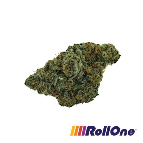 Purple Octane Flower
