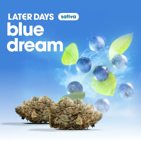 Blue Dream Flower
