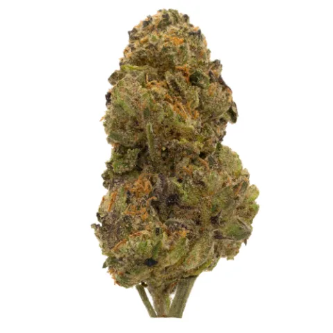 Permanent Cherries Premium Flower