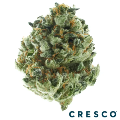 Cap Junky Premium Flower