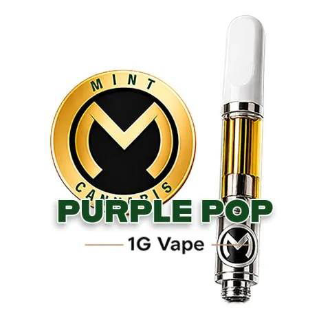 Mint Premium - CO2 Vaporizer - Purple Pop