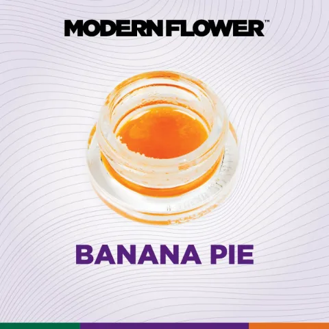 Banana Pie Live Terpene Sauz
