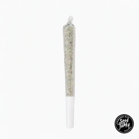 Tropical Burst Single Pre-Roll, as Trulieve's menu shows it